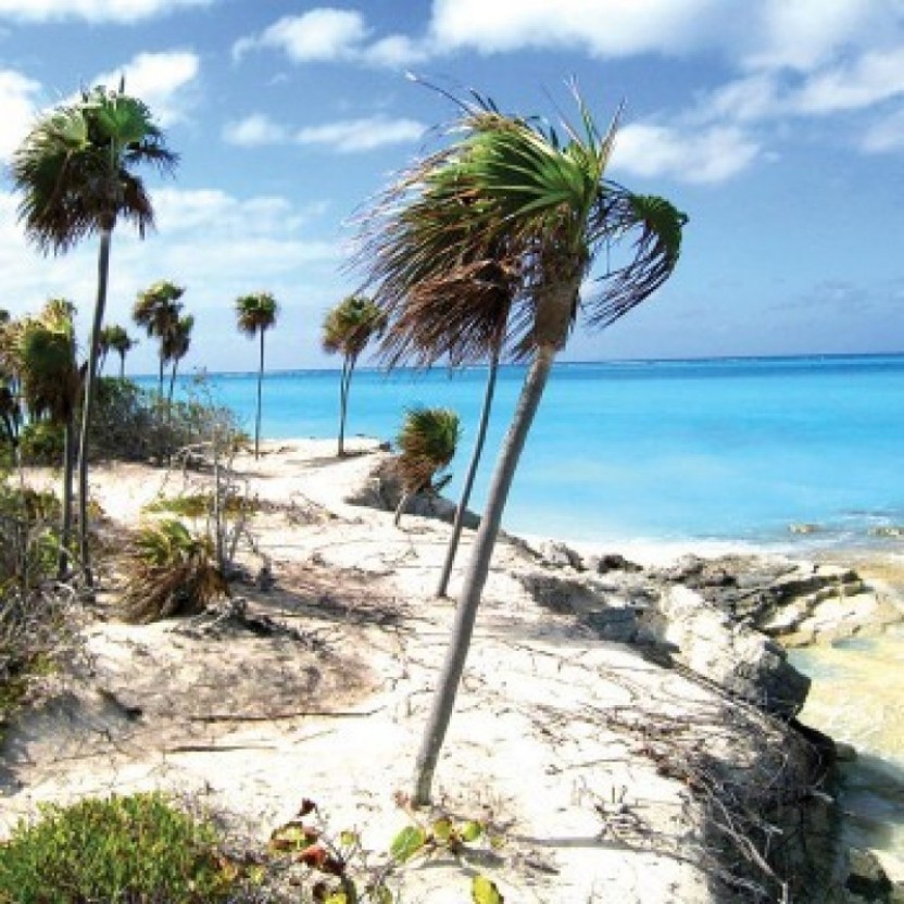 Provo Cays Exploration