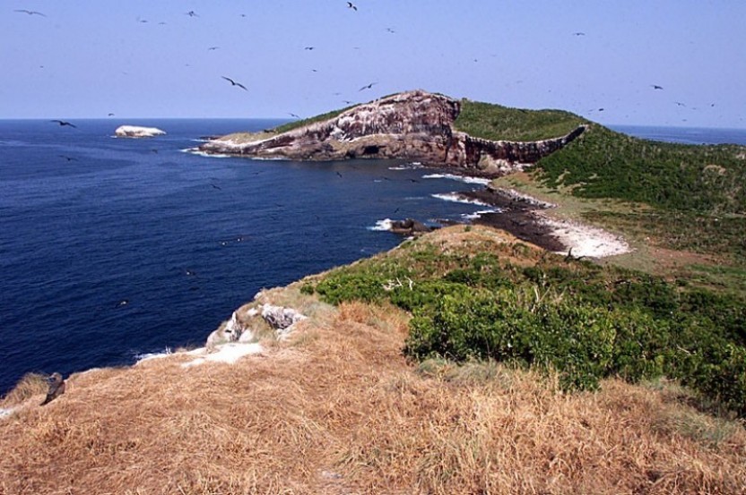 Full Day Isabela Island Tour