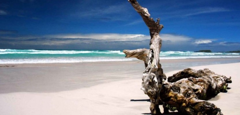 Santa Cruz Island-Bahia Tour Half Day