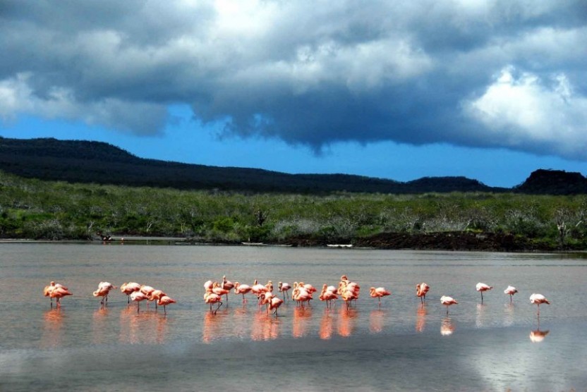 Floreana Island Full Day Tour