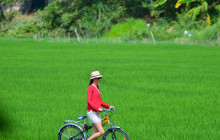 Discova Day Tours and Activities10