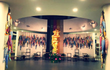 Discova Day Tours and Activities8