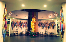 Discova Day Tours and Activities13