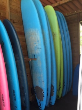 Surfboard Rentals (Longboards and Funboards)