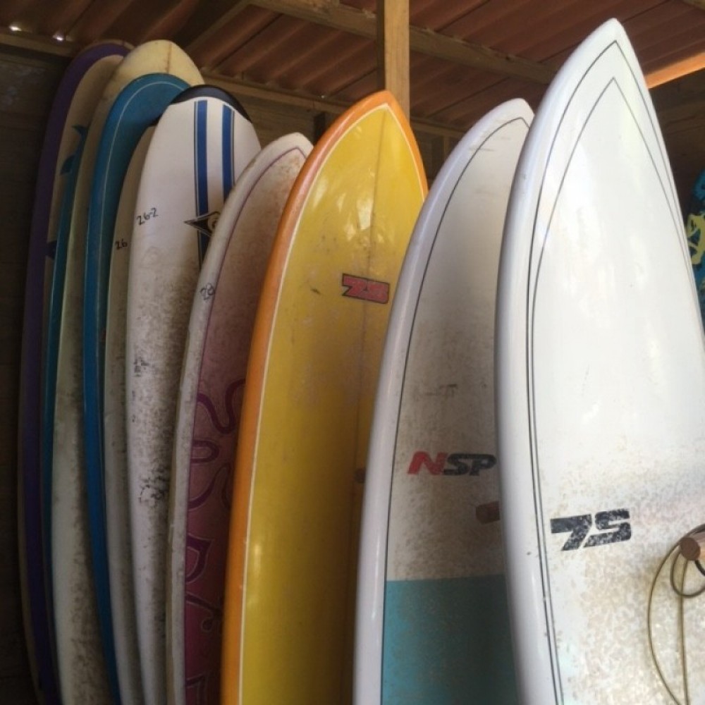 Surfboard Rentals (Longboards and Funboards) Chame Project Expedition