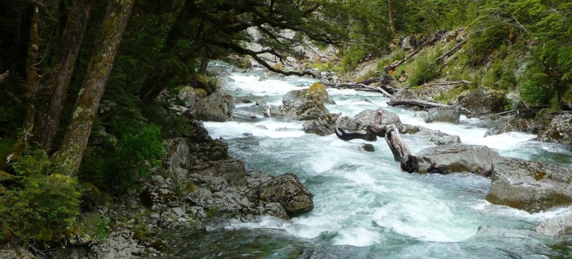 Routeburn Guided Walk Full Day