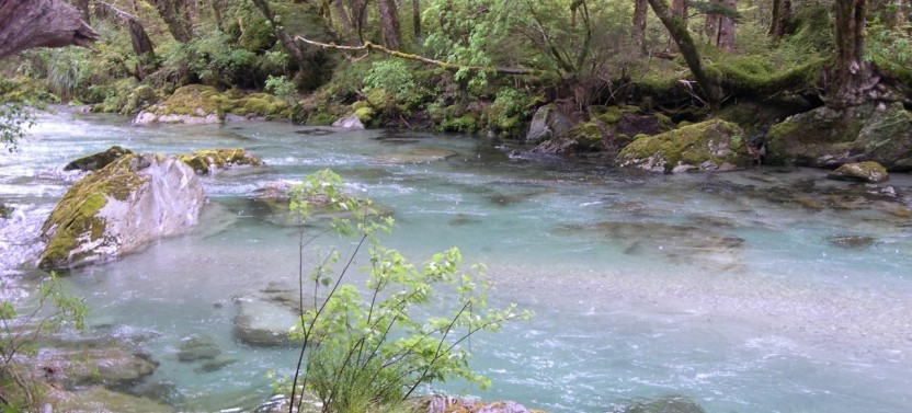Routeburn Guided Walk Full Day