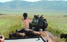 2 Days safari in Lake Manyara & Ngorongoro