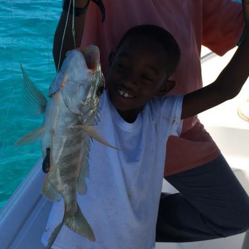 Bottom Fishing