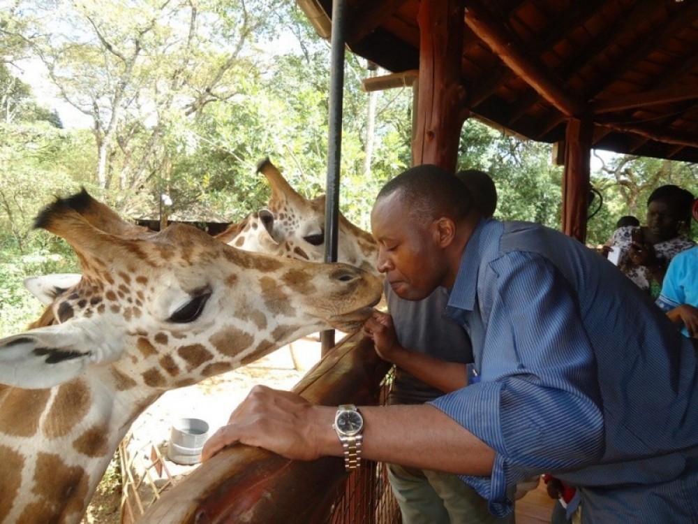 David Sheldrick Elephant Orphanage & Giraffe Center - Nairobi | Project