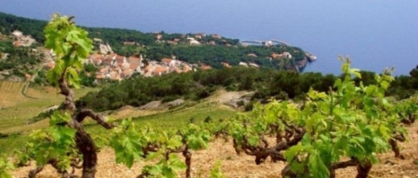 Hvar Activ - Jeep safari
