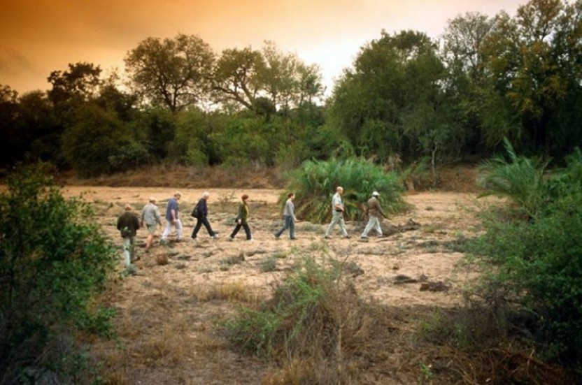 The Best of Kruger Safari 4N/5D