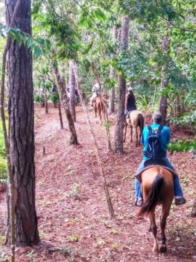 Horseback Riding