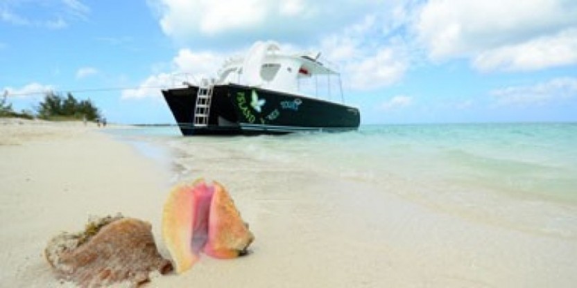 Private Motored Catamaran Tours