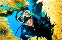 4 Days / 3 Night Cod Hole and Ribbon Reefs Dive from Cairns