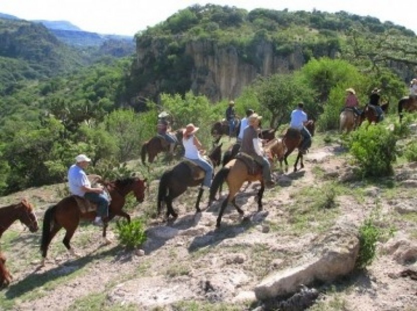 Half Day Horseback Riding Excursion