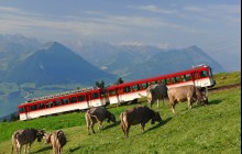 Best of Switzerland Tours AG3