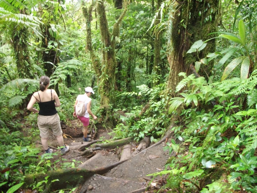 Private Ecocentro Danaus Day Hike