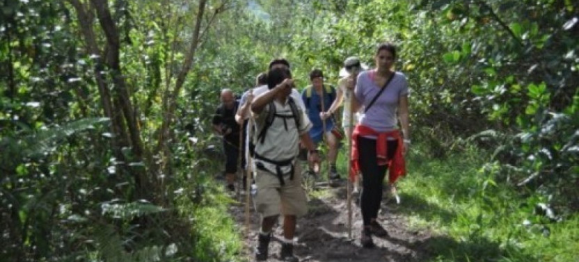 Private Children's Eternal Rainforest (BEN) Trekking Expedition