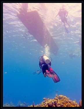 10 x Dive Package