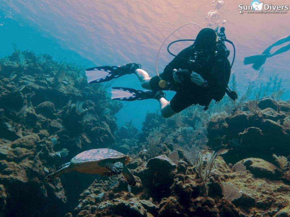 Adventure Dive West End Project Expedition