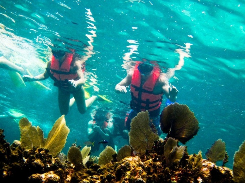 Puerto Morelos National Reef Park Sights & Attractions - Project Expedition