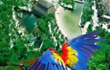 Mexitours2