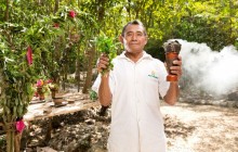 Full Day Cultural Experience to Tulum, Coba and Maya Village