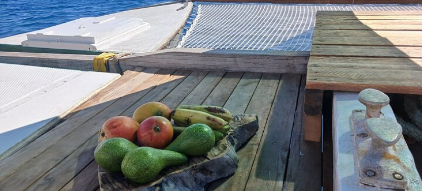Private Half Day Sailing Excursion on the Lagoon of Tahiti