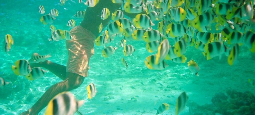 Private Half Day Sailing Excursion on the Lagoon of Tahiti