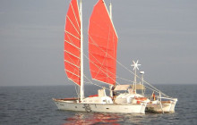 Tiare miti4