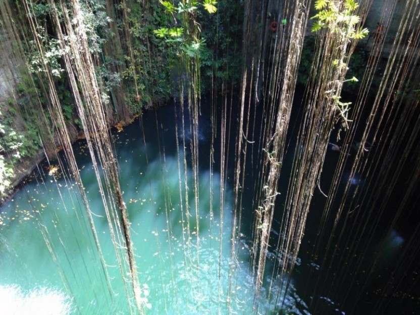 Cenote Swim in Cancún | TheList.Travel