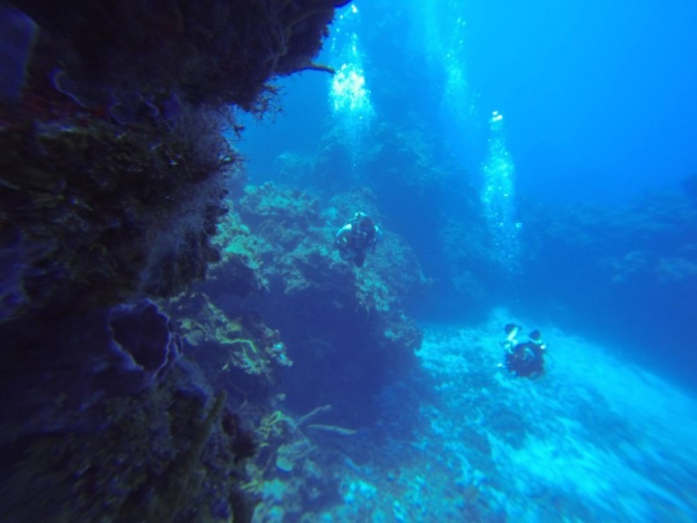 Cozumel World Class Scuba Diving - Playa del Carmen | Project Expedition