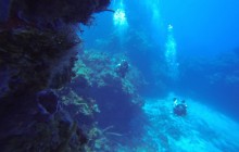 Cozumel World Class Scuba Diving