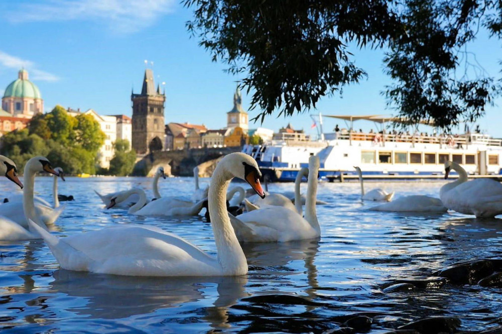 One-Hour Cruise in Prague