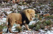 Bella Private Tours and Safari14