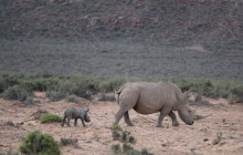 Bella Private Tours and Safari12