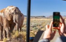 Bella Private Tours and Safari14