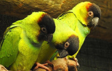 Bella Private Tours and Safari3