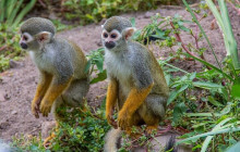 Bella Private Tours and Safari5