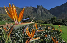 Bella Private Tours and Safari7