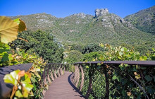 Bella Private Tours and Safari8