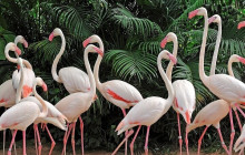 Bella Private Tours and Safari11