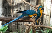 Bella Private Tours and Safari16