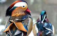 Bella Private Tours and Safari15