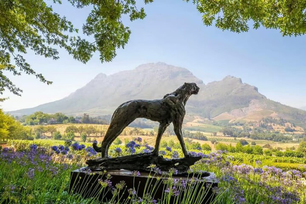 Full Day Winelands Tour with Wine Tasting from Cape Town