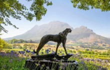 Bella private tours and safari1