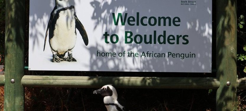 Bo Kaap Table Mountain Chapmans Peak & Penguins At Boulders Beach