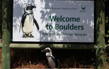 Bella private tours and safari3