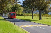 Bella private tours and safari6